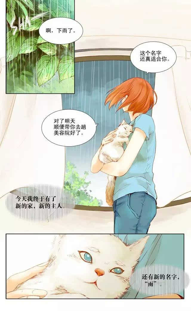 【温馨漫画】《雨》一个下雨天发生的故事