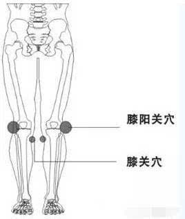 【穴位减肥】敲打几个穴位可轻松瘦腿-体育频道-手机搜狐