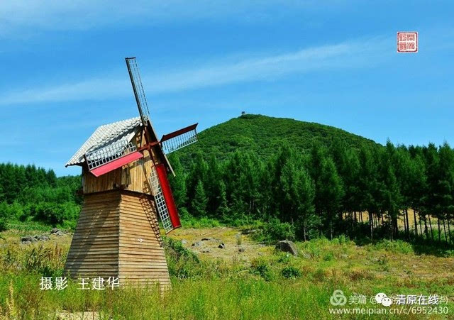 全新打造的清原岗山花海景区,七月中旬即将开放!-旅游