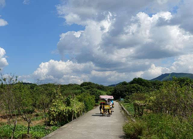 莲塘春色景区 位于增城市荔城街莲塘村,地处荔城北部约5公里,东临增