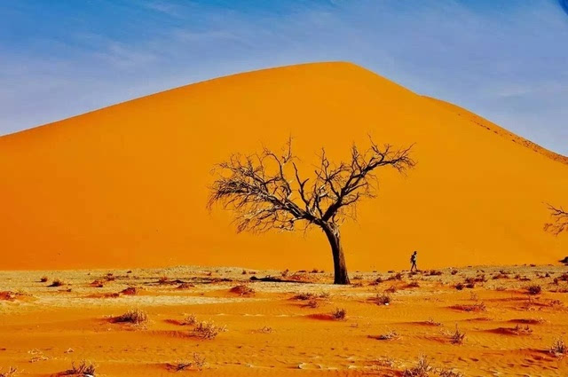 纳米比亚红沙漠第45号沙丘天地造化.