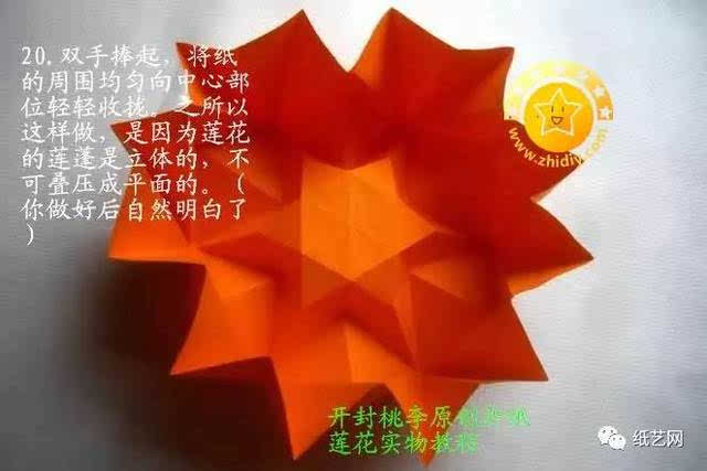 莲花折纸教程(可以做莲花灯哟)