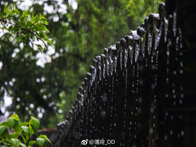 下雨天,南京最适合去的6个地方,每个都可以呆上一天!