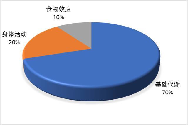 人体一天能量消耗构成及比例