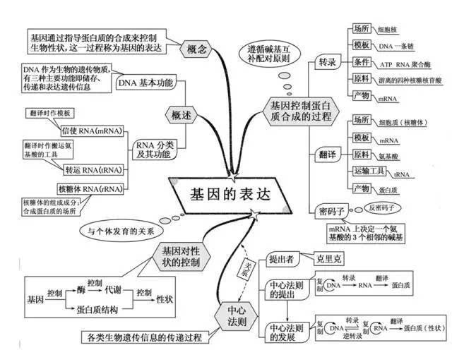 高中生物最全思维导图,助你打开高分之门