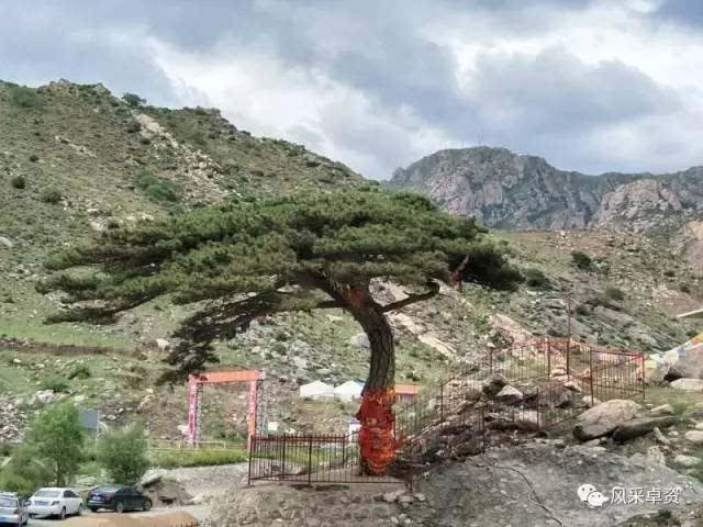 卓资县大榆树林胡古塞旅游区位于大榆树乡,规划范围包括四大片区,即八