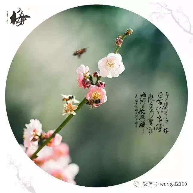 珍惜缘分