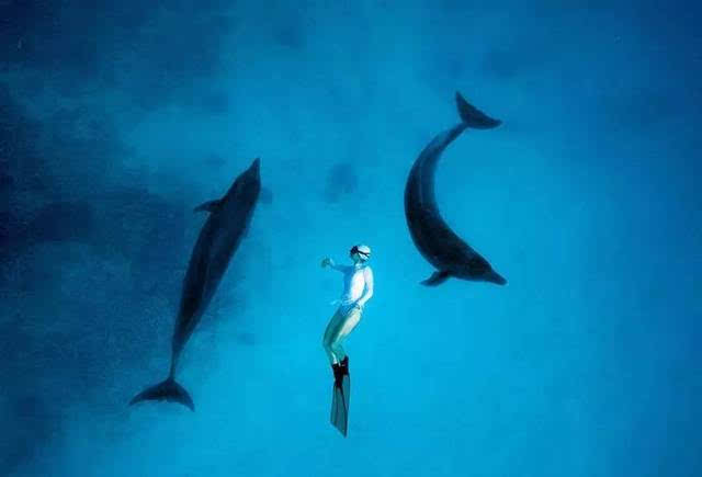 安娜在海中与海豚玩耍 现实生活中,她开玩笑说: "作为一个30多岁大龄
