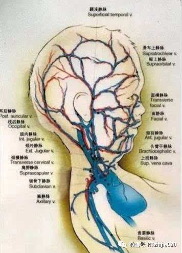 超全的小儿静脉穿刺技巧