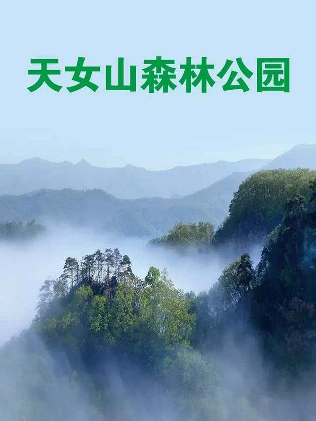 抚顺旅游|"一极六峰"之天女山森林公园