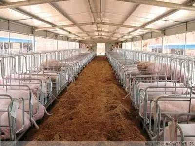 牧原集团2016年入驻热水农场,当年建成年饲养量60万头生猪大型猪场
