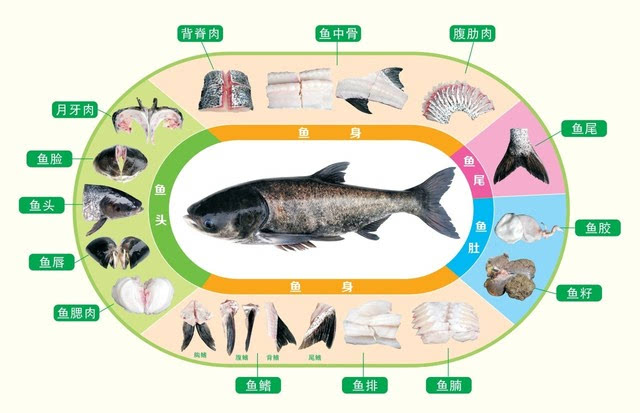 2020年千岛湖外来人口数_2020千岛湖马拉松照片(3)