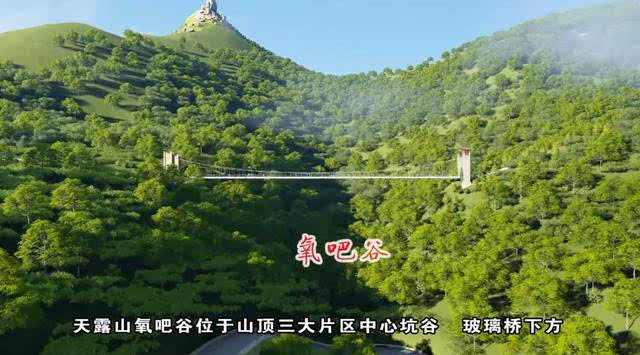 天露氧吧谷  天露山氧吧谷位于山顶三大片区中心坑谷,玻璃桥上游.