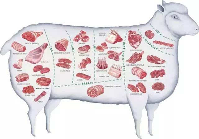 在澳洲,原来羊肉要这样买,这样吃!超强羊肉攻略和做法都在这里啦!