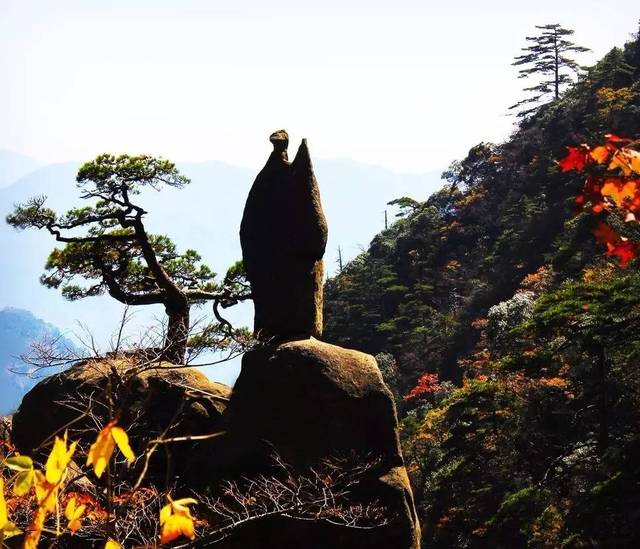 黄山仙人指路