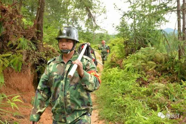 努力学习有关林业的法律,法规政策,充分发挥了法律宣传员,巡山护林员