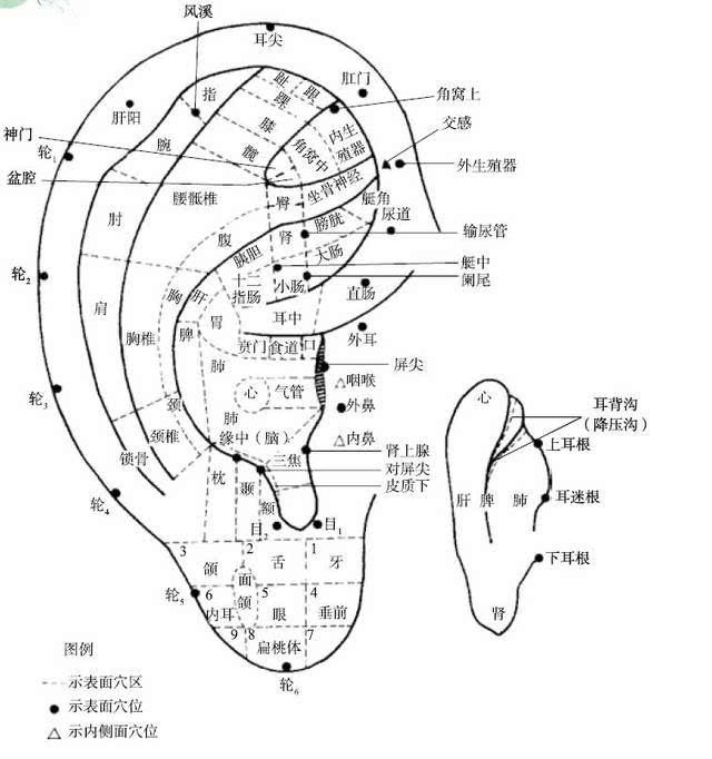 2.耳轮按摩法——眼花,耳鸣的自我调节