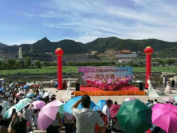 昨日, 洛阳宜阳灵山莲花公园开始了她的第四届 "莲花文化节".