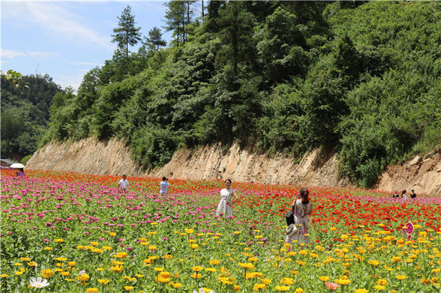 7月7日上午,湖北省十堰市张湾区首届"花果山花儿节"暨花果山花雾人间