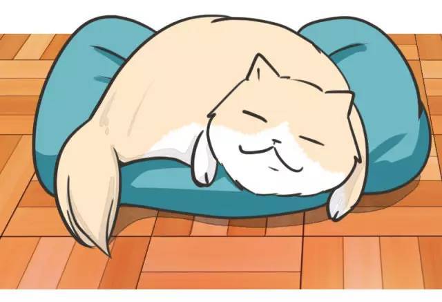 跟大多数活泼好动的猫咪不同 波斯猫更喜欢懒洋洋地躺在床上休息