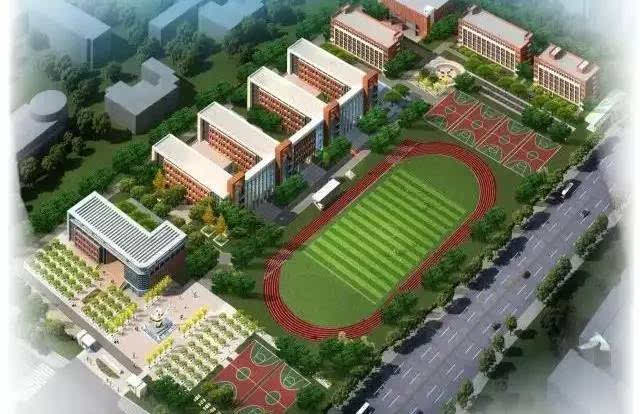 海鸟足球正式入驻郑州高新区八一中学,携手致力校园足球!