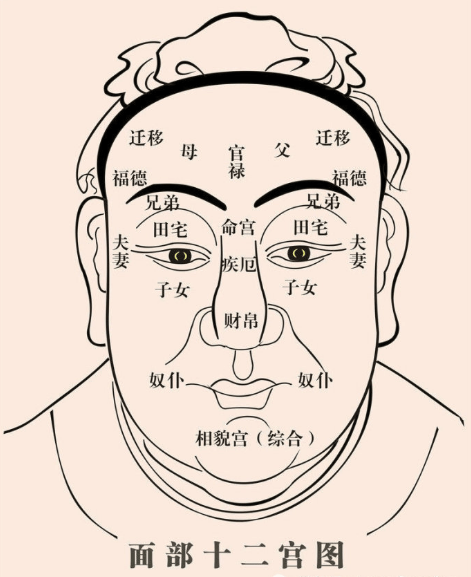 为何人脸叫五官?五官都是管什么的?