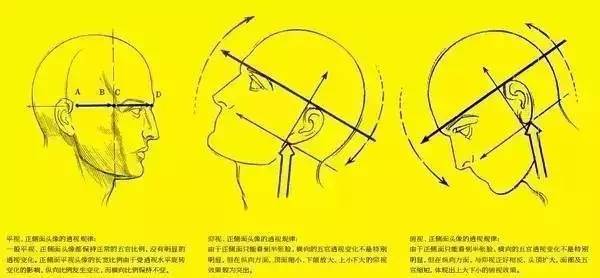 想要提高头像写生能力,这些头部分析你应该了解