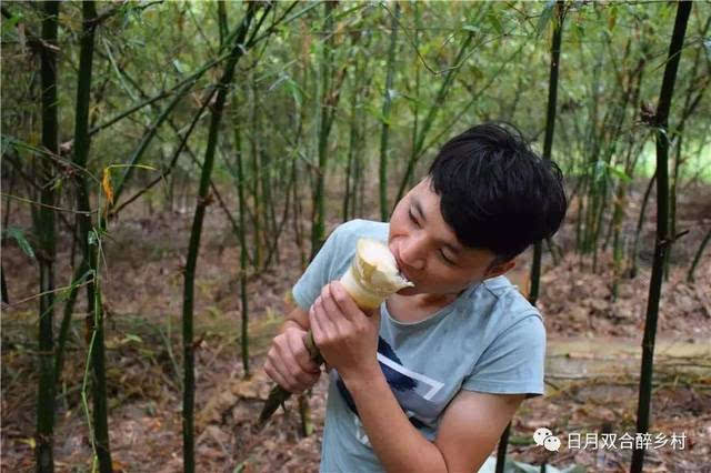 双合有笋嘢,竹笋可以当水果吃!