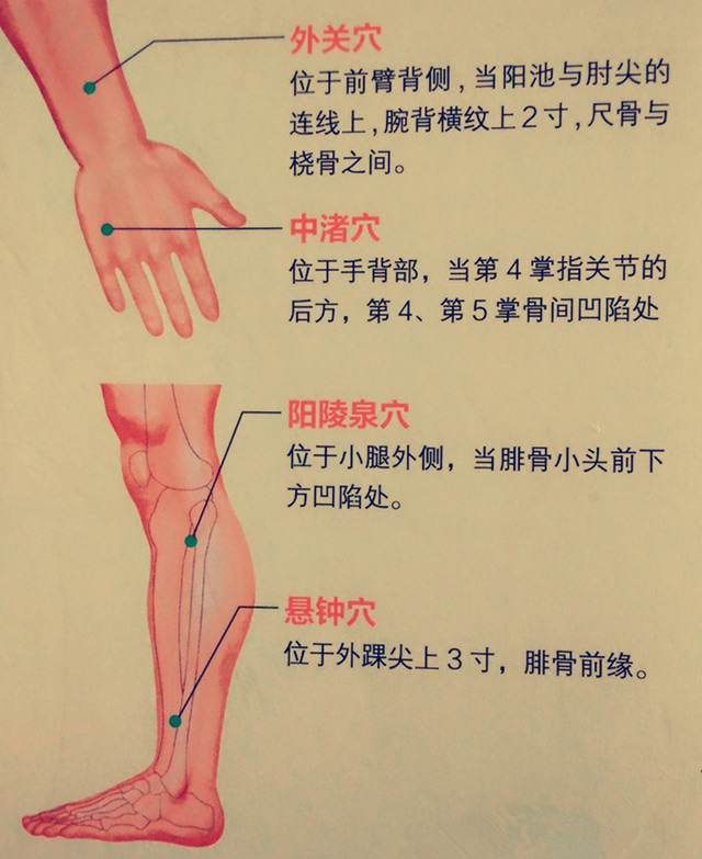 步骤4:用我们的面刮法就是从上向下刮拭上肢外关穴, 肩周炎 肩周炎