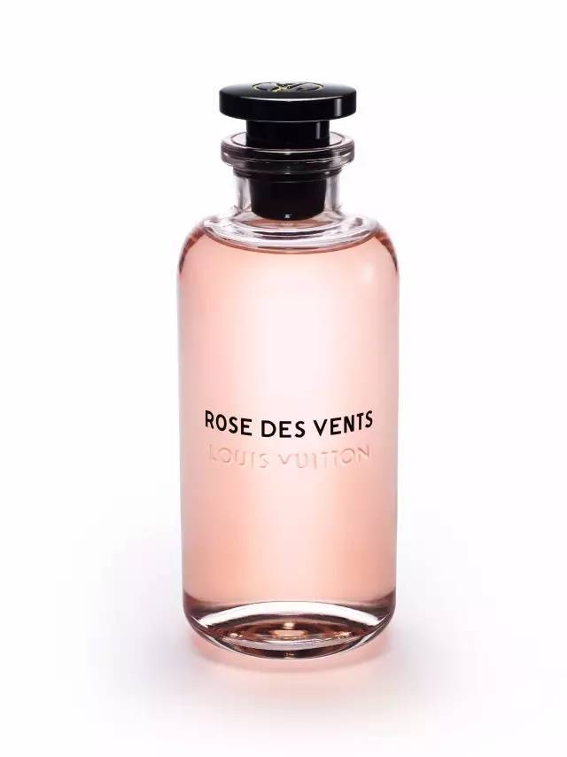 rose des vents(风中玫瑰)