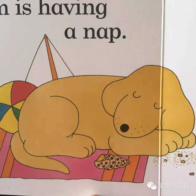 nap 打盹