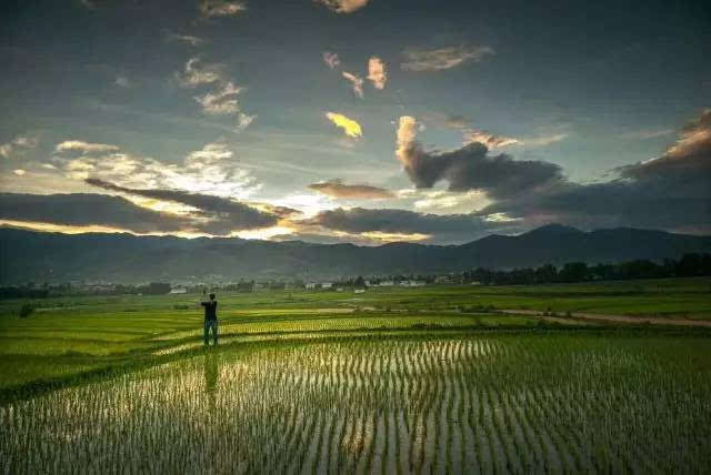 默默地在这一方土地上 耕耘出古朴,纯净的气质 乡间的田野上 拖拉机