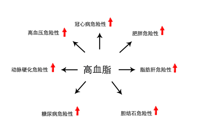 为啥说:降血糖不降血脂,等于…白降?