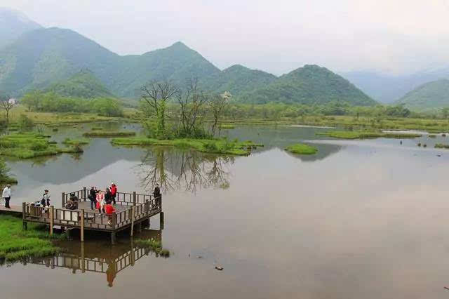 神秘北纬31°线上的"方舟湿地"—神农架大九湖