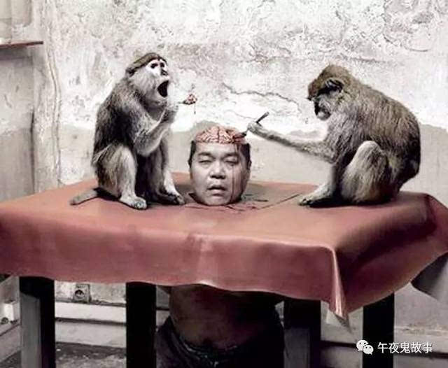 午夜鬼故事——吃人脑的猴子