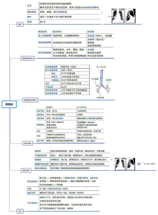 26张呼吸系统全套执业医师/考研思维导图笔记-教育频道-手机搜狐