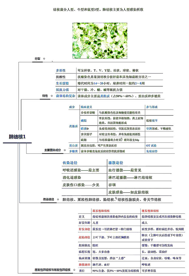 急性胰腺炎的诊治;结肠癌;糖尿病;止血药;自身免疫性肝病(autoimmune