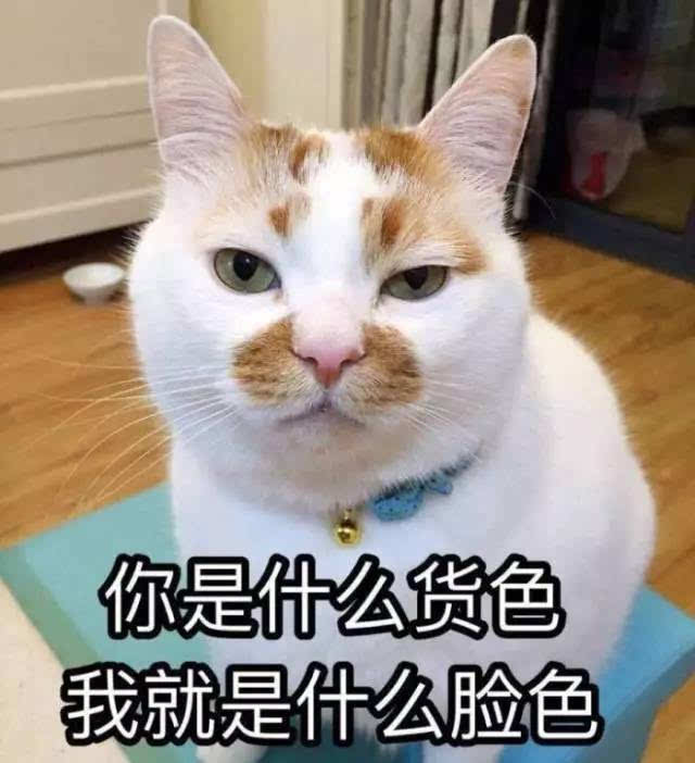 治我猫病,救我狗命!那些年宠物医院收到的锦旗,全都喵