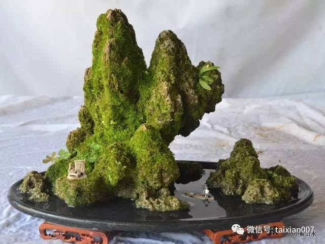 与山石密切地贴合在一起,然后浇水遮光保湿,不久将会成活,以后苔藓借