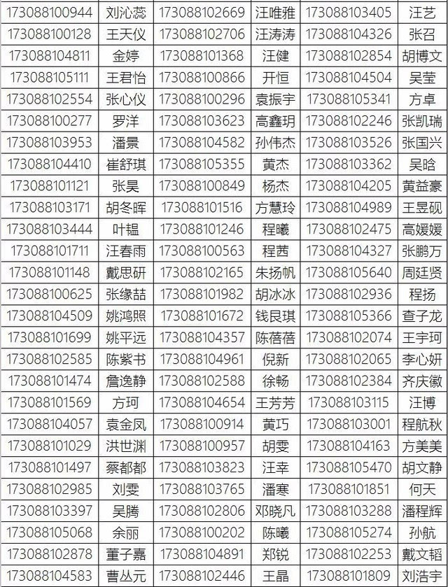 2017年桐城中学高一新生录取名单