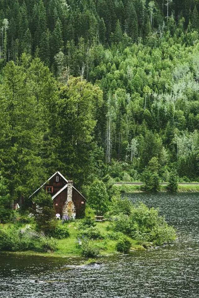 我希望有一天归隐山林,山林里有我喜欢的小屋,依山傍水