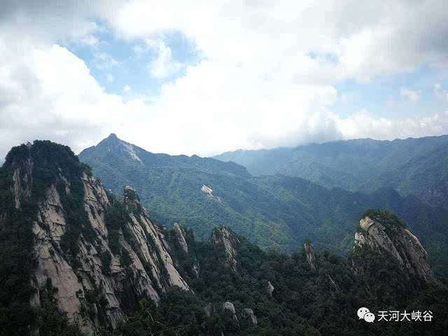 成语啸什么山林_虎啸山林图