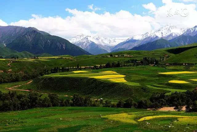 祁连山,天之山,位于甘肃西部青海东北,养育河西走廊,拥有中国最美草原
