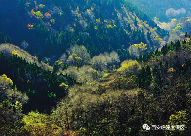 来临潼国家旅游休闲度假区避暑,有你意想不到的凉意!