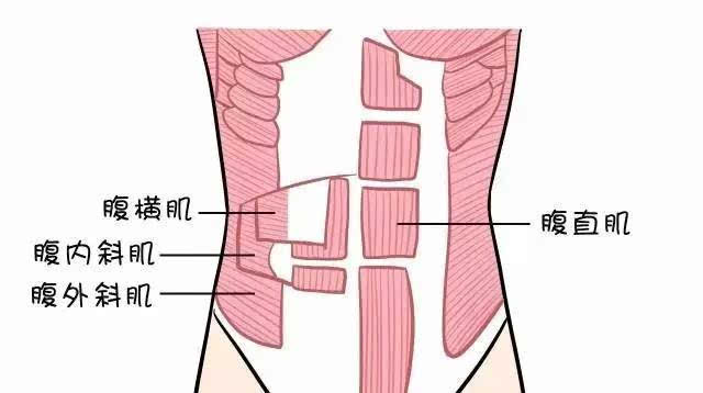 他认为,腹肌不仅让他身材性感,还可以帮助预防关节扭伤,肌肉疼痛和