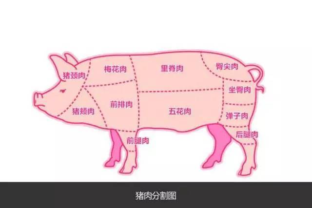 猪肉的各部位吃法详解!