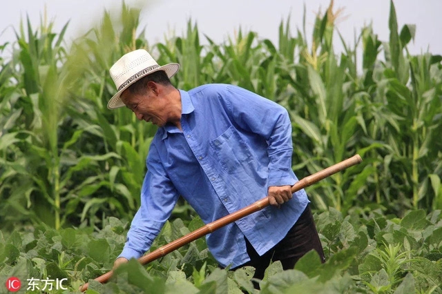 有着这么一群默默无闻的人们——实拍烈日下的劳动者