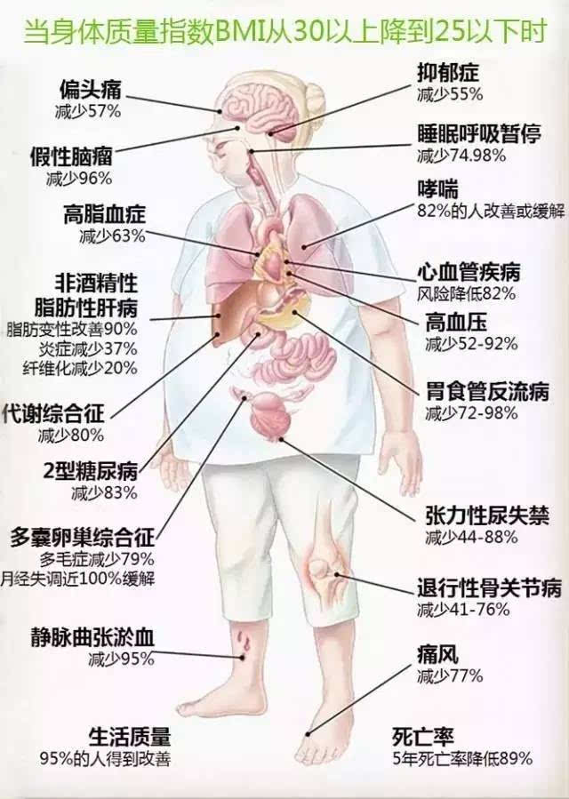 解剖了一个200斤女子,看完你会用生命去减肥