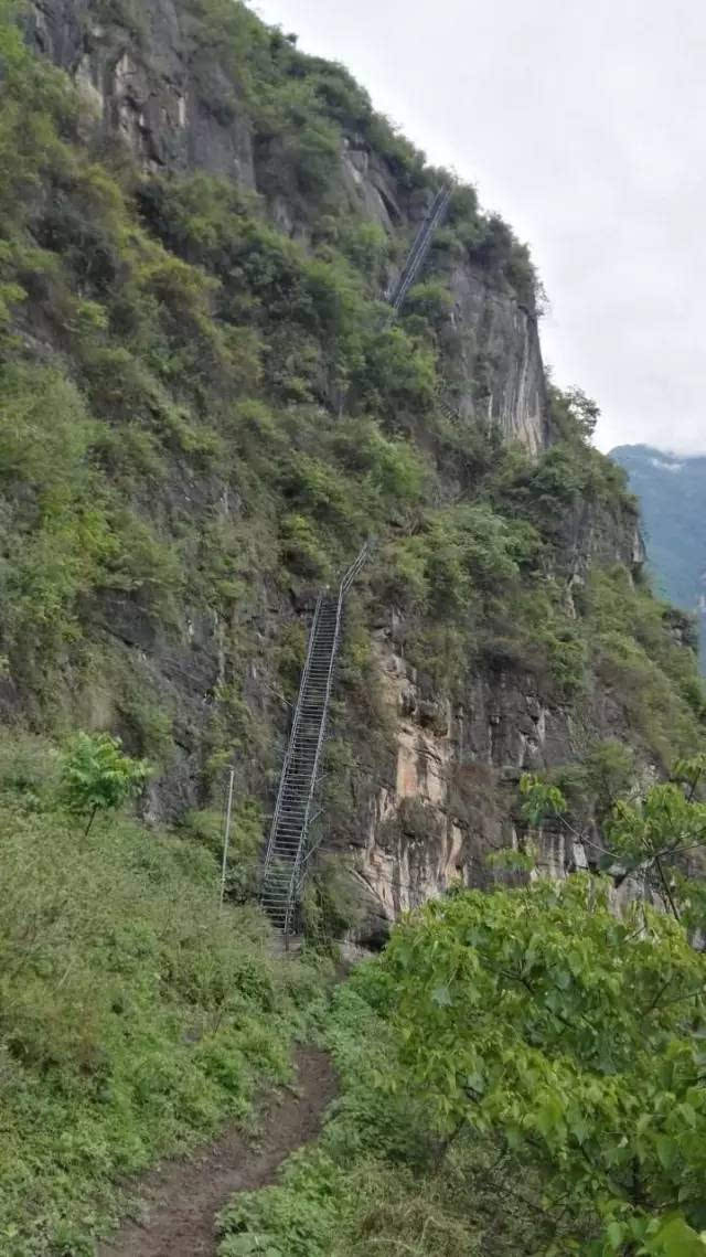 四川凉山彝族自治州昭觉县"悬崖村"旧藤梯,钟杨拍摄