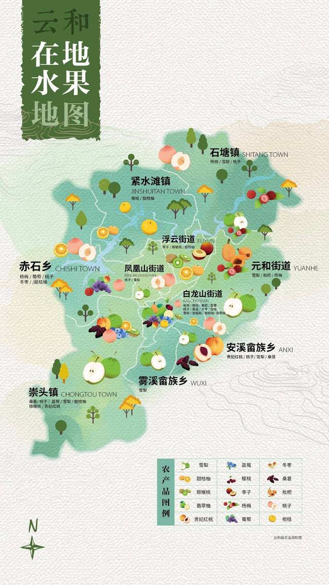 大云和的所有水果基地在这里!原来云和有这么多水果